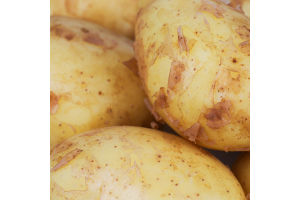 Картопля рання Українська