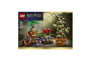 Конструктор для дітей від 12років №76474 Hogwarts herbology plants Harry Potter Lego 817ел