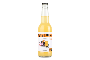 Напій газований ферментований непастеризований Обліпиха Комбуча Wild Kombucha с/пл 330мл