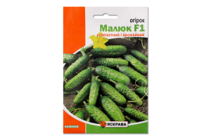 Насіння Огірок Малюк 5г Яскрава