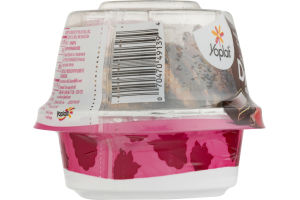 Yoplait Dippers Greek Nonfat Yogurt Raspberry Chocolate Chunk + Choco-Drizzled Pretzels