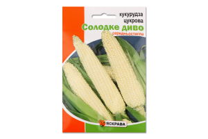 Насіння Кукуруза цукрова Солодке Диво F1 пакет гігант 20г Яскрава