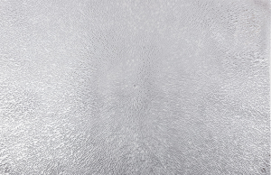 Серветка під гаряче 30*45см KYYW254