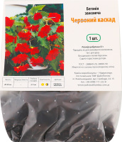 Цибулина Бегонія Червоний каскад звисаюча Яскрава