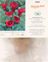 Цибулина Калла Маджестік Ред Яскрава