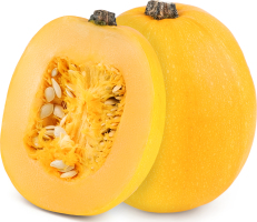 Гарбуз Гілея