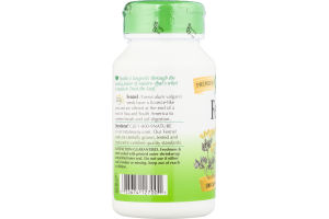 Nature's Way Fennel Seed 480mg Capsules - 100 CT