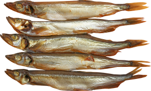 Мойва жирная Юніверсал Фіш Компані х/к кг