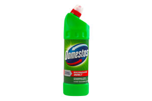 Средство для чистки универсальное Хвойная свежесть 24ч Domestos 1000мл