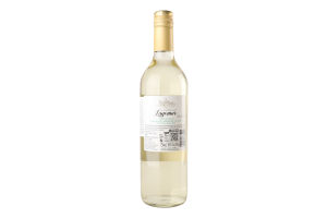 Вино 0.75л 10% белое сухое виноградное Castillo Lagomar бут
