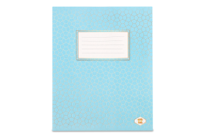 Зошит шкільний Фонова коса лінія 12аркушів Тетрада