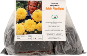 Бульба Жоржина Кельвін Флудлайт декоративна Яскрава