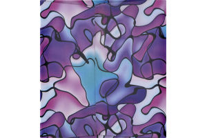 Ahold Facial Tissues - 210 CT