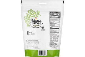 Nature's Promise Organic Caesar Croutons