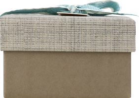 Коробка подарункова з бантом в асортименті 958306