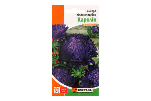 Насіння Квіти Айстра Каролін синя півонієподібна 0,3г Яскрава