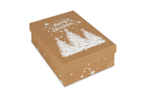 Коробка для подарунків 22*14см в асортимент 833810