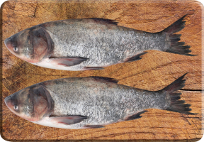 Толстолоб охлажденный 3+  