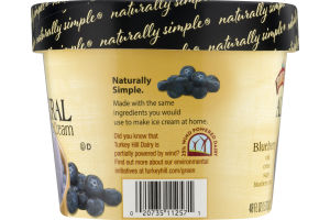 Turkey Hill All Natural Ice Cream Blueberry