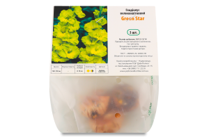 Цибулина Гладіолус Грін Стар 3шт Яскрава