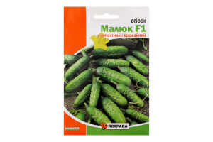 Насіння Огірок Малюк 5г Яскрава