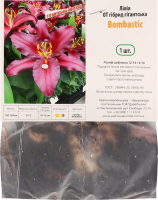 Цибулина Лілія OT Бомбастік гігантська гібрид Яскрава