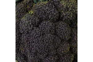 Капуста броколі Пьорпл Меджік