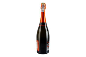 Вино ігристе 0.75л 11.5% біле сухе For Spritz Riccadonna пл