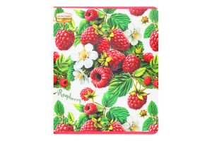 Зошит Фемілі Лайн Ароматний клітинка 48аркушів Тетрада