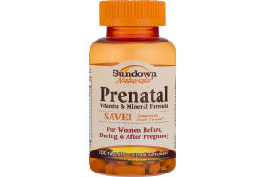 Sundown Naturals Prenatal Vitamin & Mineral Formula - 100 CT