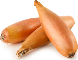Цибуля шалот бананова