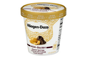 Haagen-Dazs Non-Dairy Frozen Dessert Peanut Butter Chocolate Fudge