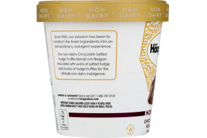 Haagen-Dazs Non-Dairy Frozen Dessert Chocolate Salted Fudge Truffle