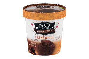 So Delicious Dairy Free Cashew Milk Non-Dairy Frozen Dessert Creamy Chocolate