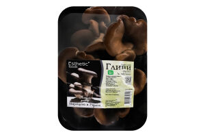 Гриби Esthetic foods Гливи
