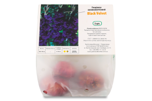 Цибулина Гладіолус Блек Вельвет 3шт Яскрава