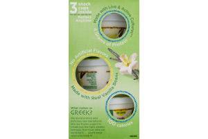 Healthy Choice Greek Frozen Yogurt Vanilla Bean - 3 CT