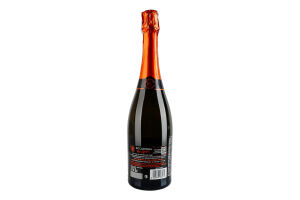 Вино ігристе 0.75л 11.5% біле сухе For Spritz Riccadonna пл