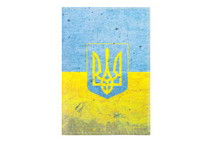 Обкладинка на паспорт - Україна