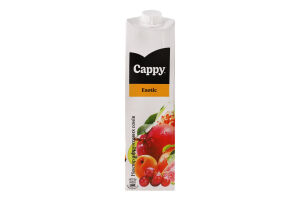 Нектар из фруктовых соков и пюре Exotic Cappy т/п 1л