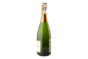 Вино ігристе 0.75л 11.5% біле Brut Cava Jaume Serra пл