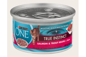 Purina ONE True Instinct Premium Cat Food Salmon & Trout Recipe