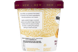 Haagen-Dazs Ice Cream Peanut Butter Salted Fudge