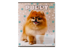 Тетрадь ученическая школьная в косую линию 12 листов №ZB25.1753C Dogs Kids line ZiBi 1шт