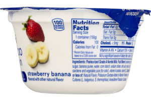 Yoplait Greek 100 Protein Fat Free Yogurt Strawberry Banana