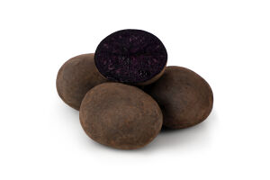 Картопля Либідь фіолетова