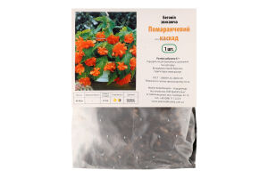 Бульба Бегонія Помаранчевий каскад звисаюча Яскрава