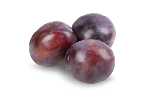 Слива отечественная