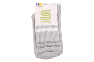Шкарпетки Premier socks Економ вис мал сірі р20-22