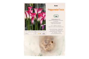 Цибулина Калла Пепермінт Твіст Яскрава